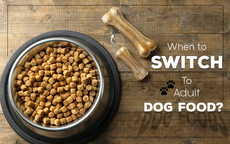 Switch to Adult Dog Food