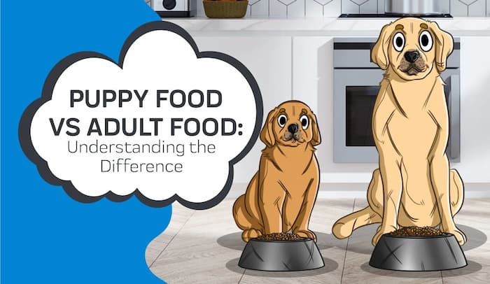 puppy and adult dog food