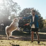 How to Train a Dog Not to Jump on People? Tips