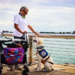 How Much Does It Cost to Train a Service Dog?